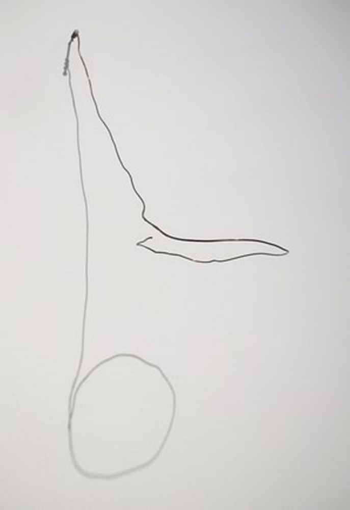 Curved Circles