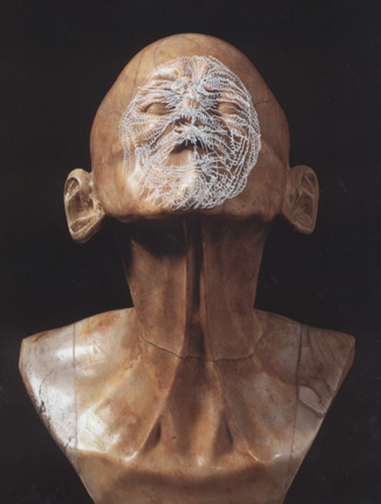 Ectoplastic drawings over the Franz Messerschmidt's 