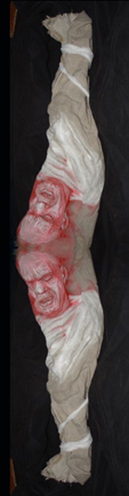 Hallucinating Object
