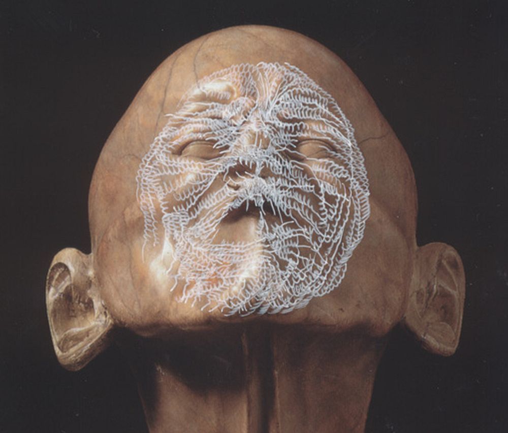 Ectoplastic drawings over the Franz Messerschmidt's 