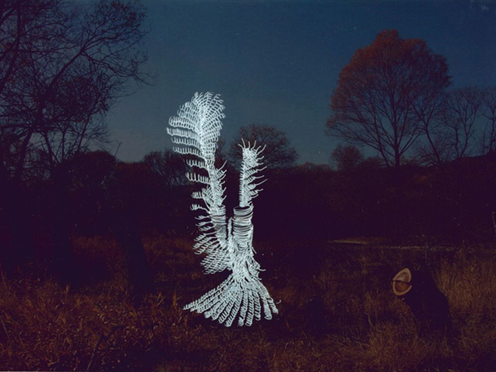Unpredictable transparent