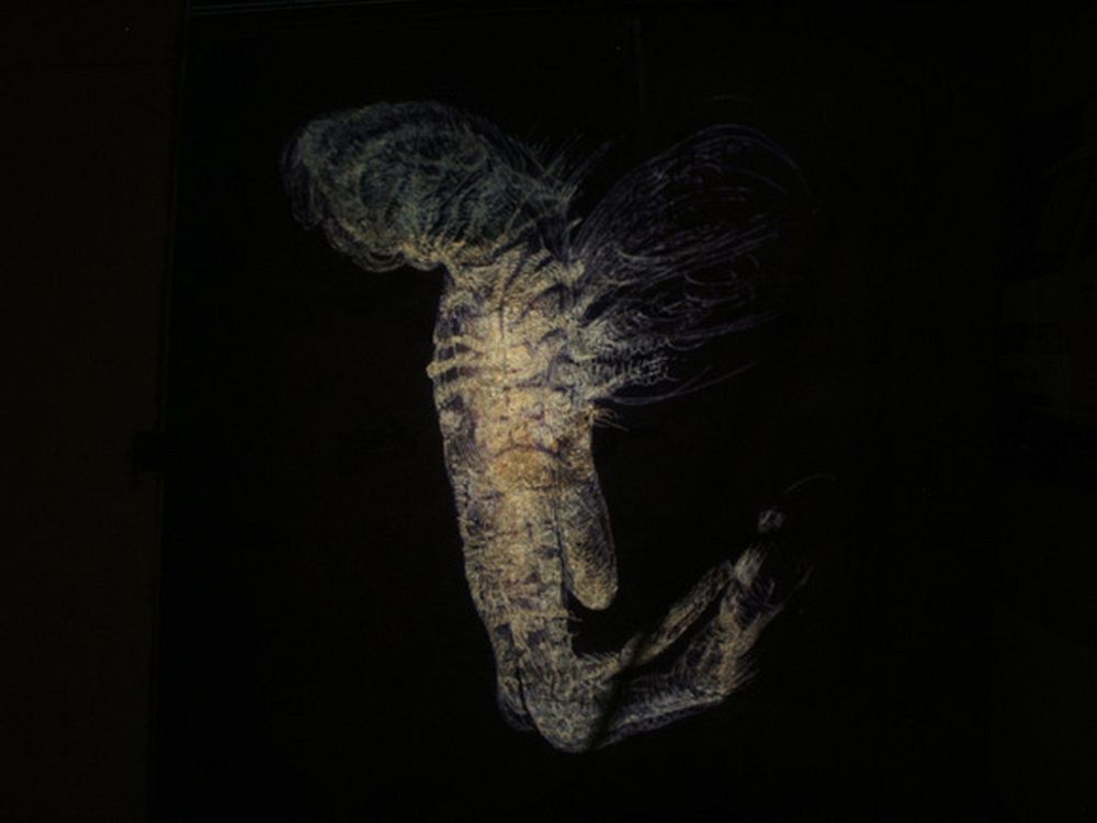 Ectoplastic Installation
