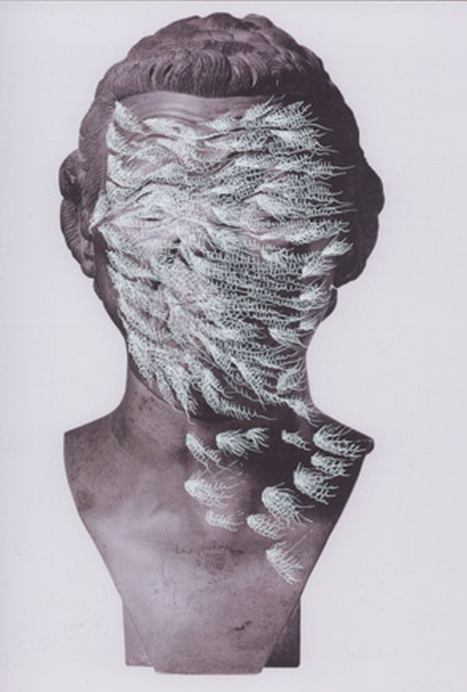Ectoplastic drawings over the Franz Messerschmidt's 