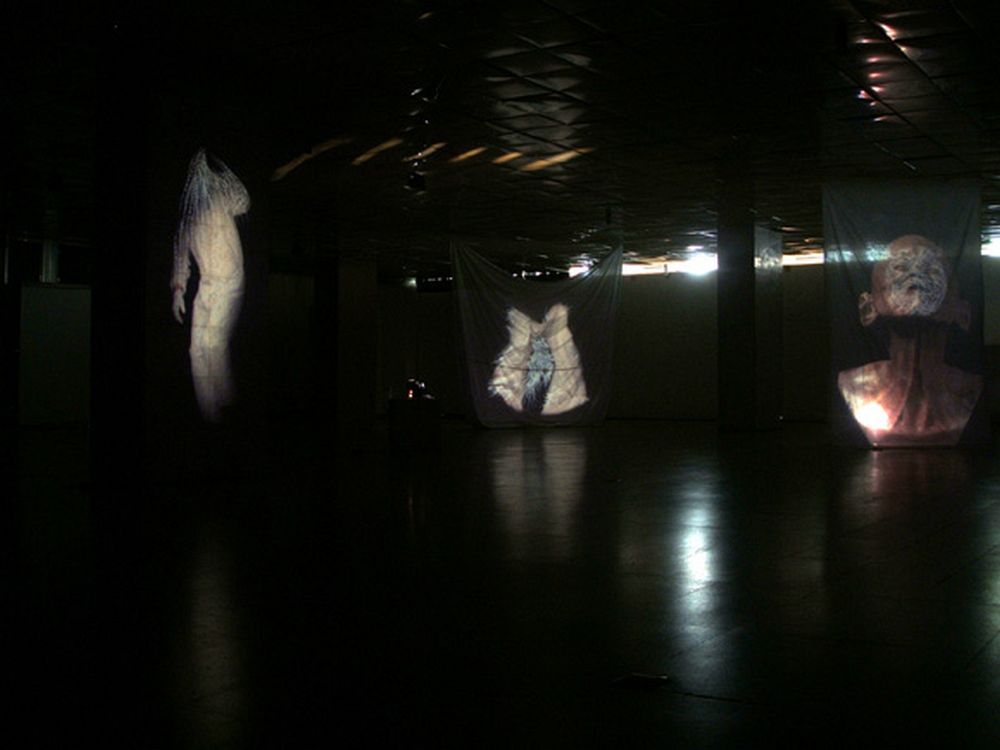 Ectoplastic Installations