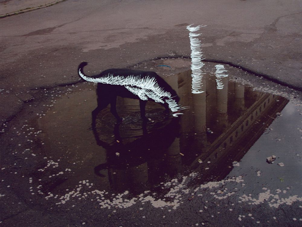 Unpredictable transparent