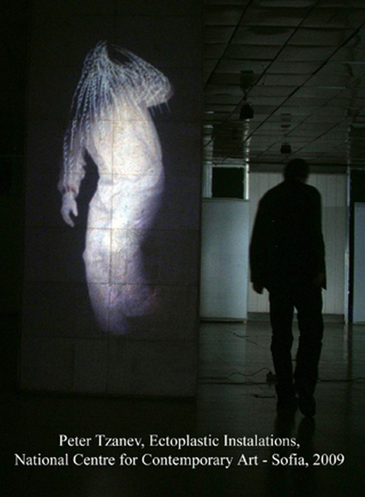 Ectoplastic Installations